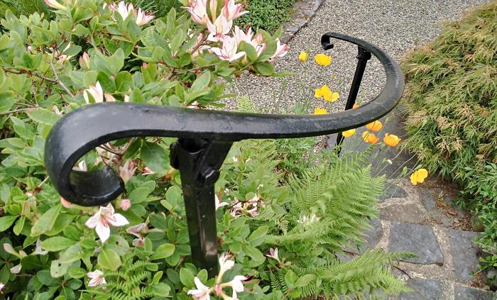 A curved ironwork handrail sweeps down beside stone steps to a gravel path beyond. Honeysuckle and cheerful Welsh poppies around the ironrail base sof
